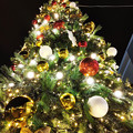 写真: 2022 イオンモール広島祇園 クリスマスツリー