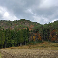 Photos: 田舎の秋