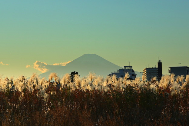 写真: 246-富士山IMG_1121