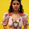 Beautiful Selena Gomez(9006040)