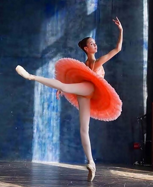 Beautiful Ballerina(54)