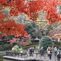 Photos: 横浜公園