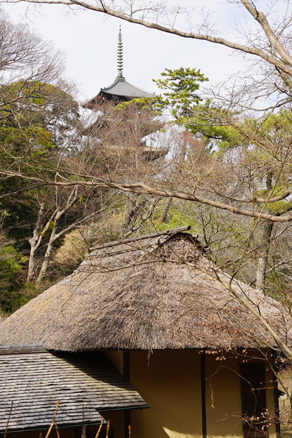 Photos: 茅葺屋根と三重塔