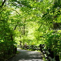 写真: 春の横浜市こども植物園