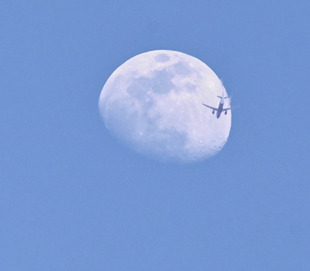 写真: 月とジェット機
