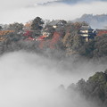 Photos: 備中松山城の雲海