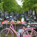 写真: ピンクの自転車
