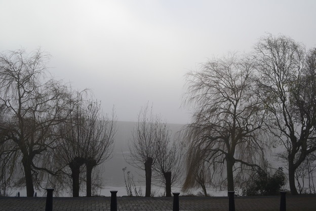 Photos: 霧の日