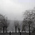 Photos: 霧の日