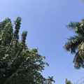 ヤンゴン２月13日の空