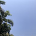 ヤンゴン３月14日の気温と空 (1)