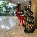 写真: クリスマスデコレーションなホテルat Yangon (5)