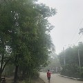 Photos: ガスった朝 at Yangon (2)