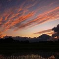 写真: 高層雲の夕景