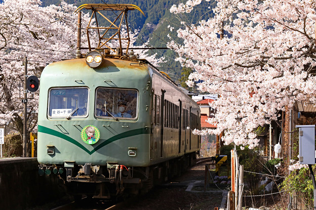 駿河徳山駅の桜