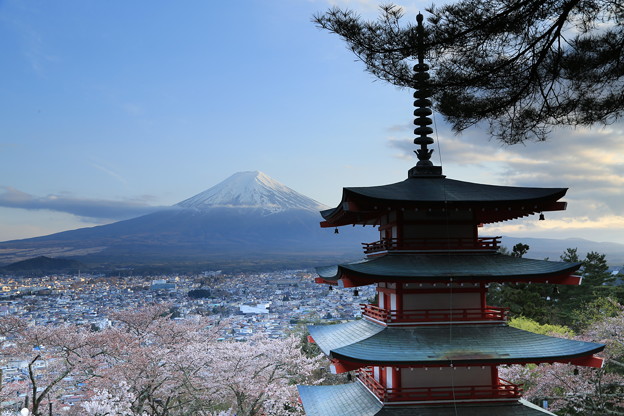写真: 富士山　1