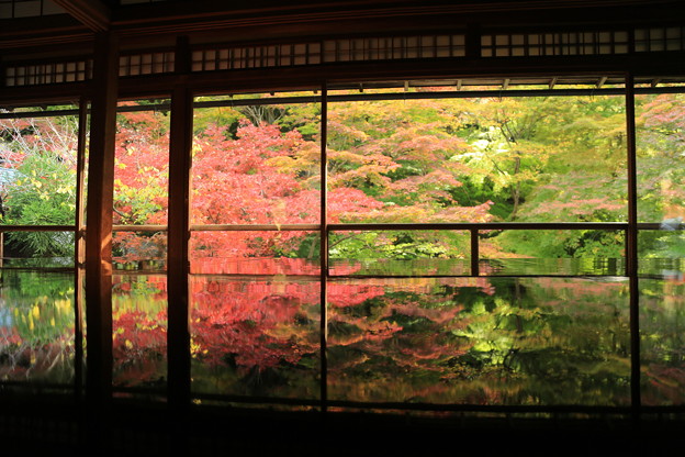 Photos: そうだ京都に行こう1