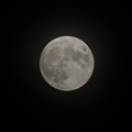 写真: 満月は明日ですが