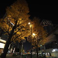 写真: 東京駅周辺夜景その２