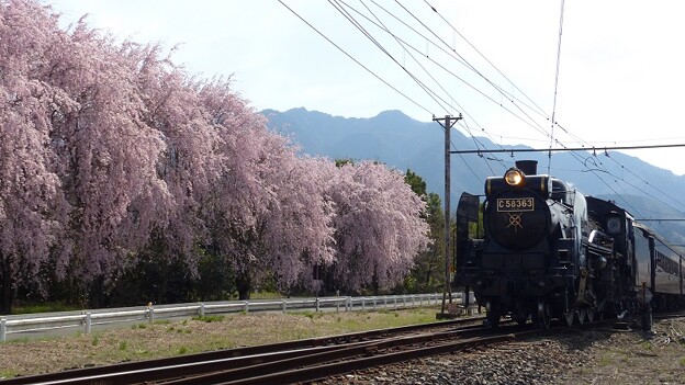 写真: 桜花の旧客　復路５カット