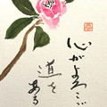 絵手紙「ワビスケ椿」 IMG_1654 by ふうさん