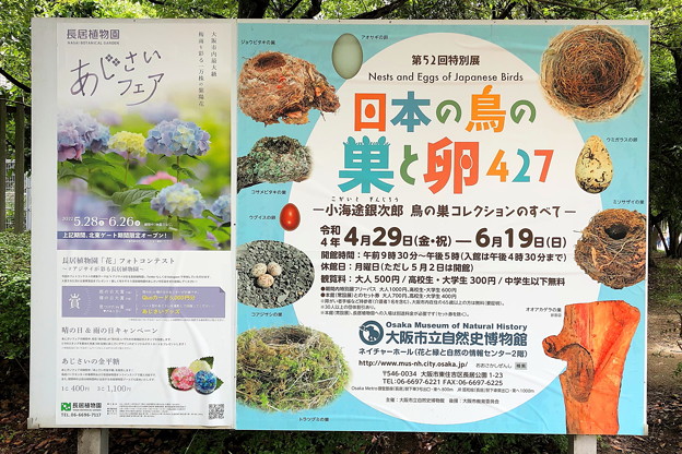 1.日本の鳥の巣と卵展 IMG_2445