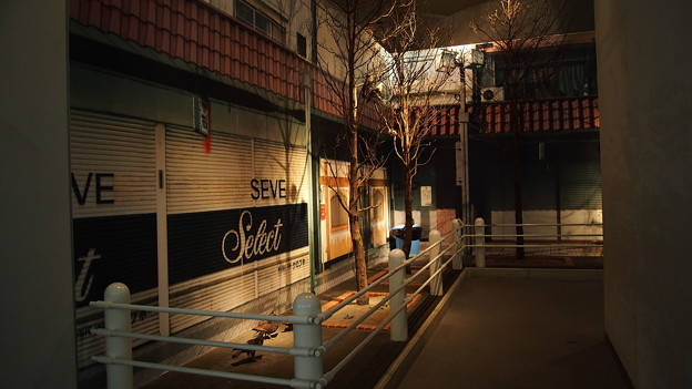 千葉県立中央博物館 (3)
