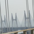 写真: 観光と橋