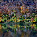 Photos: s須川湖～対岸の紅葉