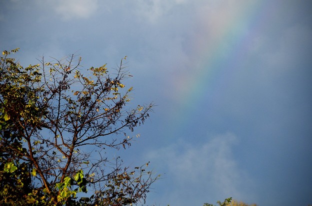 写真: 少しの虹