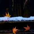 Photos: 雪と落ち葉