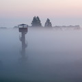 写真: 霧の中