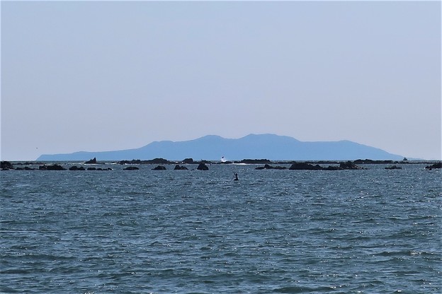 写真: 葉山からの大島