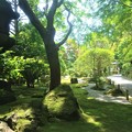 写真: 鎌倉の報國寺