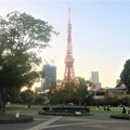 写真: 東京タワー202110