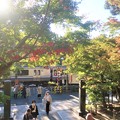 写真: 北鎌倉　円覚寺2021