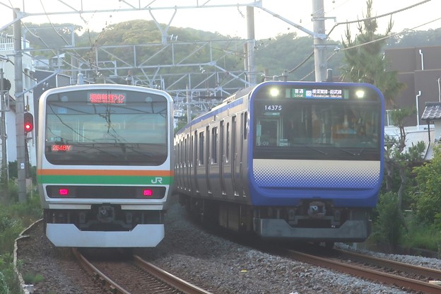 写真: 湘南新宿ラインと横須賀線202206