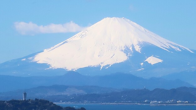 写真: 富士　披露山202403