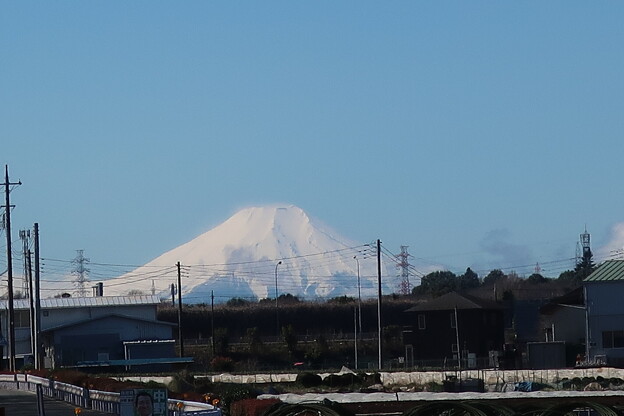 写真: 富士を望む・・
