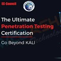 Crack the Code of Penetration Testing and Join the CPENT Class in Pune
