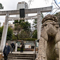 写真: 乃木神社 (2)