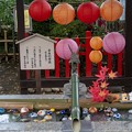 新田神社 (3)いつもの散歩道