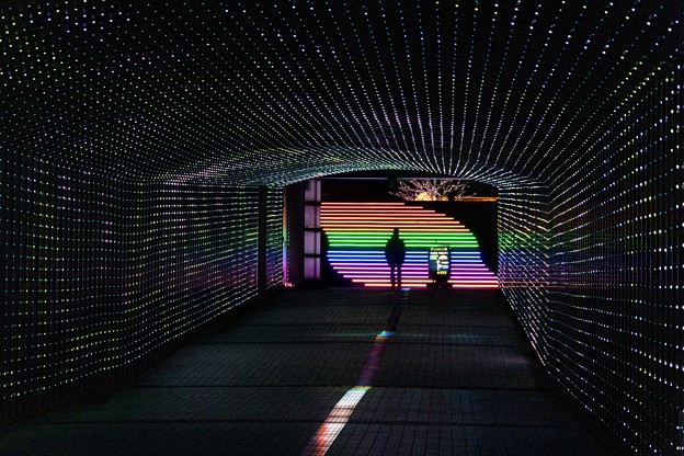 光のトンネル「東京メガイルミ」