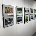 Photos: ２０２２新宿御苑フォトコンテスト入賞作品展 (2)