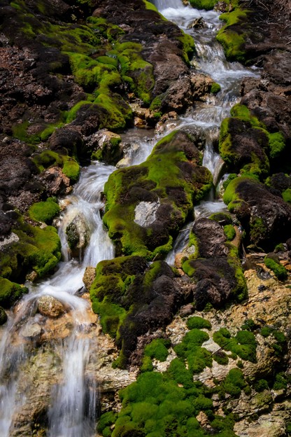 チャッボミ苔の渓流　再現像