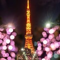 Photos: 都立芝公園「東京タワー」