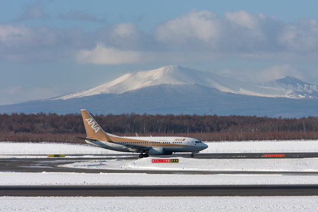 写真: ANA 737-700 JA01AN 金シャチと樽前山