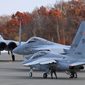 写真: 第201飛行隊 F-15J T-4