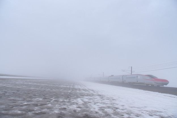 写真: 霧のこまち
