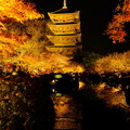 東寺五重塔のライトアップ　その２